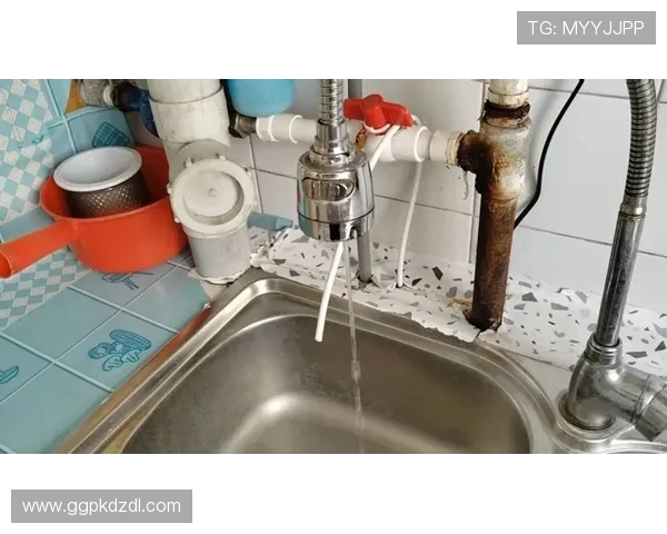 德州大小：德州各类城市规模对居民生活方式和经济发展的影响分析